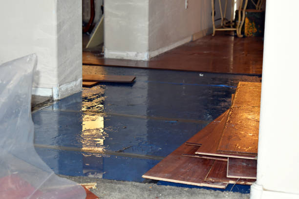 Professional Basement Flooding technician working in DuPont, WA